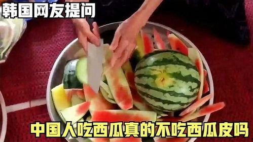 韩国去东北吃瓜