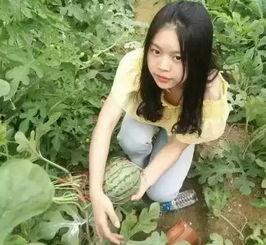 51瓜姐吃瓜王,揭秘娱乐圈幕后真相，带你领略明星们的真实生活