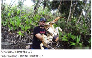 校园吃瓜爬树,揭秘校园里的趣味生活瞬间