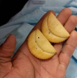 带你吃瓜奇葩饼干,带你品尝“带你吃瓜”的独特风味