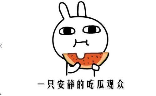 论如何正确吃瓜,揭秘如何正确吃瓜的五大秘诀