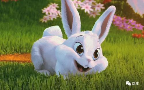 jk兔子日常吃瓜,瓜田里的欢乐时光