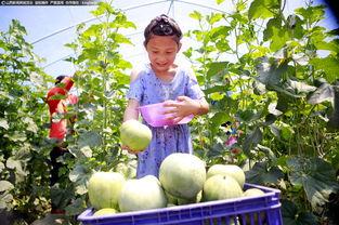 看店吃瓜,揭秘市井百态，品味人间烟火