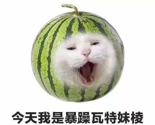 暴躁憨姐吃瓜,揭秘娱乐圈那些事儿