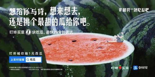 校园吃瓜文案短句,短句盘点校园趣事