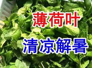 入伏吃三瓜图片