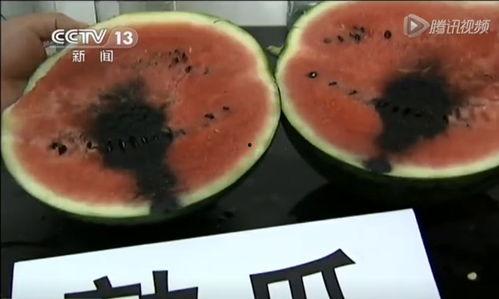 广东惠州吃瓜视频,一场视觉盛宴的美食之旅