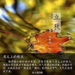 立秋吃瓜的摘录