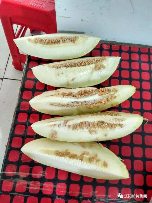 带你吃瓜新奇葩设计,趣味与创意的完美融合