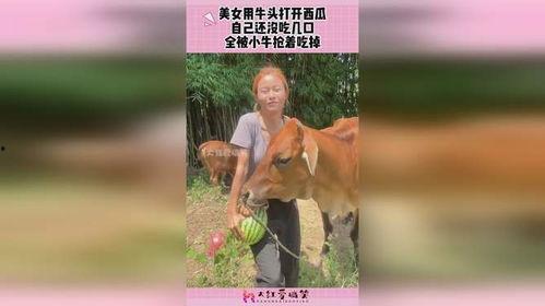 吃瓜的小牛,吃瓜小牛带你揭秘娱乐圈那些事儿