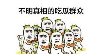 思聪吃瓜群众,揭秘娱乐圈背后的真相与八卦