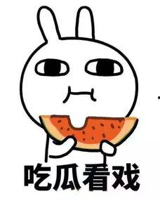 呆呆啊ovo吃瓜,揭秘娱乐圈幕后故事