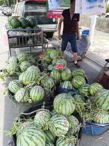 银川怀远吃瓜事件,一场引发热议的街头冲突