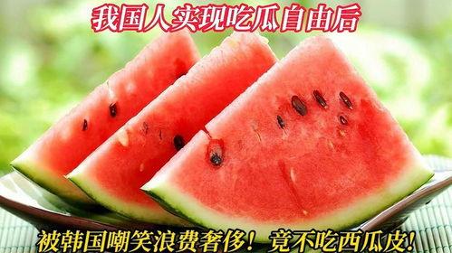 韩国在哪里吃瓜,探寻独特的“吃瓜”文化之旅