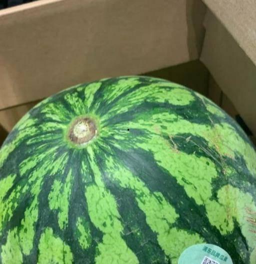 卖瓜的吃瓜的头像