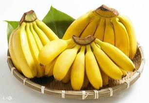 香蕉角瓜咋吃,香蕉角瓜的多样美味食用方法探索