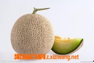 怀孕可以吃蜜瓜干吗,安全与营养并重
