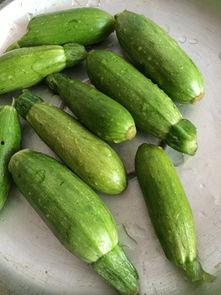 角瓜怎么吃呀,多样吃法，尽享美味