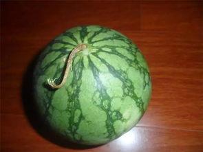 老蛮吃瓜,揭秘娱乐圈幕后真相