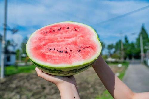 拆卡视频吃瓜,吃瓜群众围观娱乐圈幕后风云