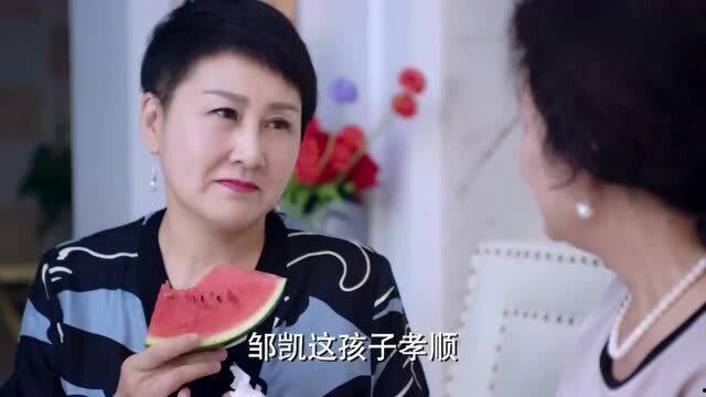 四弟妹吃瓜,揭秘娱乐圈背后的秘密与八卦