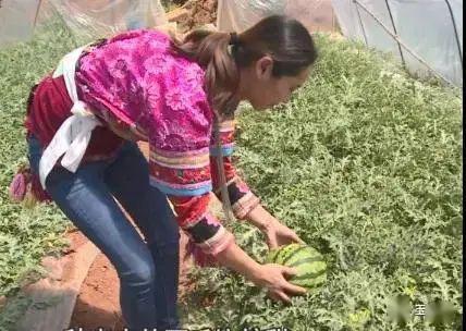 吃瓜群众慢慢品瓜,揭秘娱乐圈幕后故事