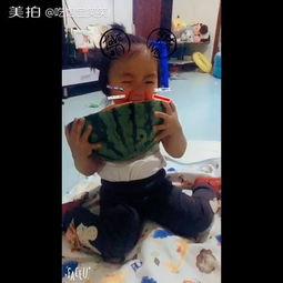 小孩吃瓜被追搞笑,小童吃瓜引发的欢乐追逐记