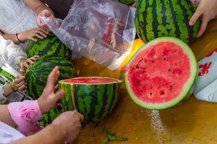 加班吃瓜视频,吃瓜视频成办公室新潮流