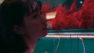 吃瓜少女吃火车